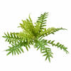 26" Green Fern Bush - view 1 of 2