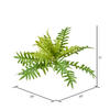 26" Green Fern Bush - view 2 of 2