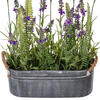 Vickerman Artificial Lavender Flower Fern in Iron Pot - view 4 of 4