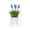 13.5" Hyacinth Flower in Ceramic Pot - view 2 of 2