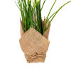 Vickerman Artificial Yellow Daffodil in Burlap Pot, Set of 2 - view 5 of 8