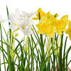 Vickerman Artificial Yellow Daffodil in Burlap Pot, Set of 2 - view 4 of 8