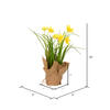 Vickerman Artificial Yellow Daffodil in Burlap Pot, Set of 2 - view 3 of 8