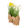 Vickerman Artificial Yellow Daffodil in Burlap Pot, Set of 2 - view 6 of 8