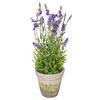 Vickerman Artificial Lavender Topiary - view 4 of 5