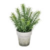 Vickerman Artificial Potted Plant - view 1 of 3