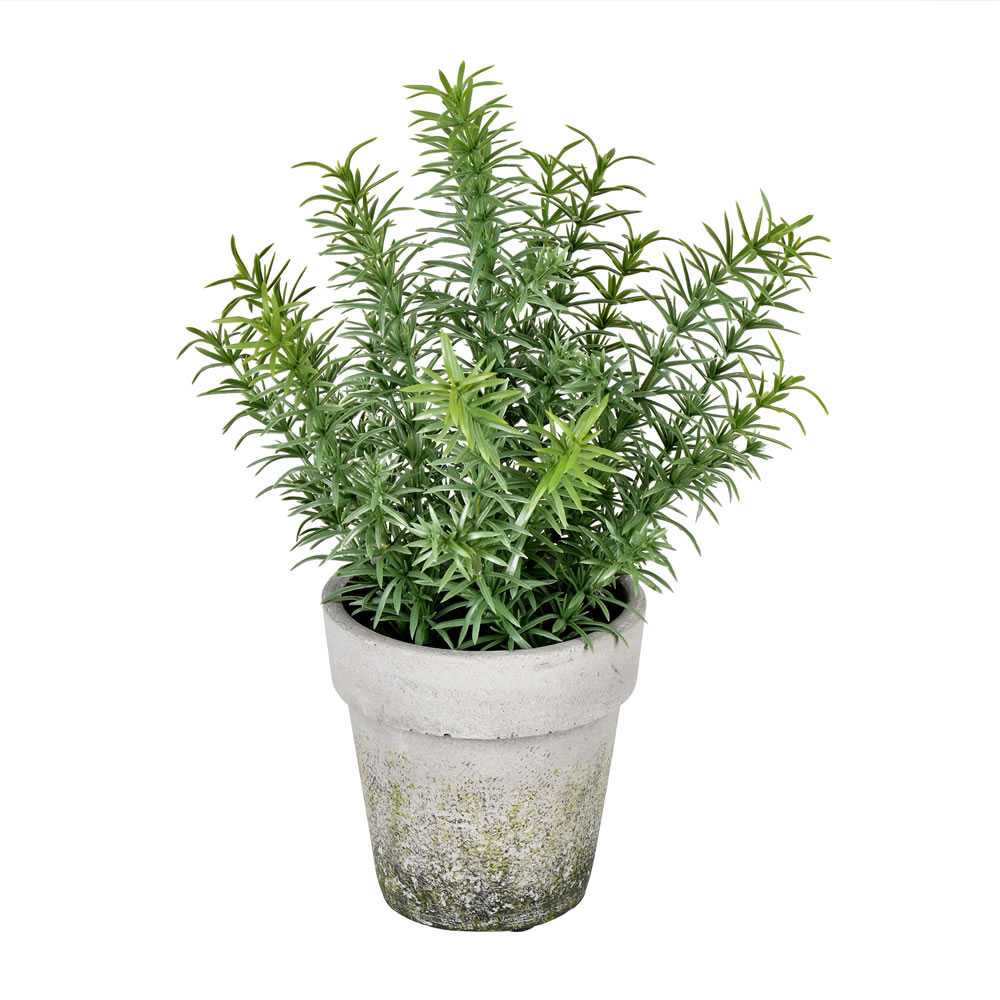 Vickerman Artificial Potted Plant