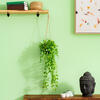 29" Mini Leaf Hanger In Pot - view 2 of 6