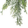 Vickerman Cedar Collection - view 5 of 5