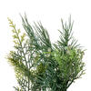 Vickerman Artificial Mixed Fern Cedar Wreath - view 4 of 5