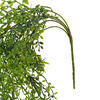 34" Green Lemon Beauty Leaf Vine - view 6 of 7