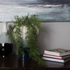 34" Green Lemon Beauty Leaf Vine - view 5 of 7