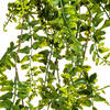30" Green Buckler Fern Vine - view 8 of 8