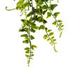 30" Green Buckler Fern Vine - view 6 of 8