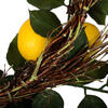 Vickerman Artificial Green and Yellow Salal Leaf Lemon Collection - view 5 of 7