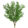 20" Green Mini Smilax Bush - view 1 of 3