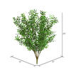 20" Green Mini Smilax Bush - view 3 of 3