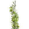 6' Green Olive Hill Garland - view 4 of 4