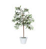 27" Olive Hill Tree W/ Container - view 1 of 8