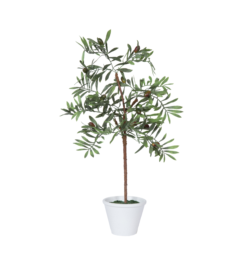 27" Olive Hill Tree W/ Container