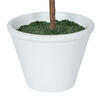 27" Olive Hill Tree W/ Container - view 8 of 8