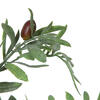 27" Olive Hill Tree W/ Container - view 6 of 8