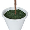 27" Olive Hill Tree W/ Container - view 7 of 8