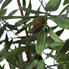 27" Olive Hill Tree W/ Container - view 4 of 8