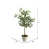 27" Olive Hill Tree W/ Container - view 3 of 8