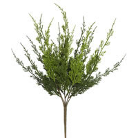 Monterey Cypress Collection
