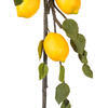 Vickerman Artificial Green and Yellow Lemon Garland - view 3 of 4