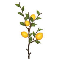 Lemon Spray