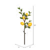 Vickerman Artificial Green and Yellow Lemon Spray - view 3 of 3