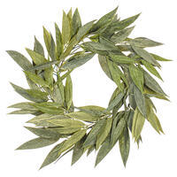 Muddy White Willow Collection
