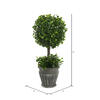 Vickerman Artificial Green Boxwood Topiary - view 3 of 3