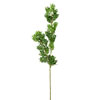 27" Green Boxwood Spray 3/Pk - view 1 of 3