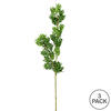 27" Green Boxwood Spray 3/Pk - view 3 of 3