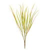 29" Green Dracena Marginata Bush - view 1 of 3