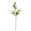 25" Green Scimmia Leaf/Flower Spray 6/Pk - view 1 of 4