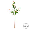 25" Green Scimmia Leaf/Flower Spray 6/Pk - view 4 of 4