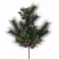 Long Leaf Pine Collection