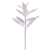Dusty Miller Sprays