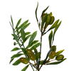 Vickerman Artificial Mixed Olive Leaf Collection - view 2 of 5