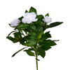 Vickerman 14.5"Artificial Beauty Polyester Gardenia Flower Bush - view 1 of 2