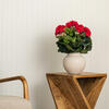 Vickerman Artificial Polyester Geranium Bush - view 2 of 6