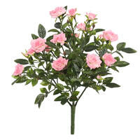 Diamond Rose Bushes