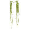 39" Green Senecio Bush W/1132 Bean - view 1 of 3