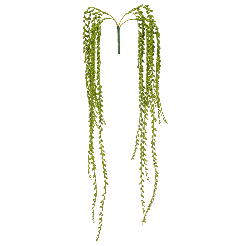 39" Green Senecio Bush W/1132 Bean
