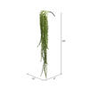 39" Green Senecio Bush W/1132 Bean - view 3 of 3
