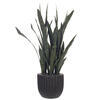 47" Dark Green Sansevieria Potted FT UV - view 1 of 5
